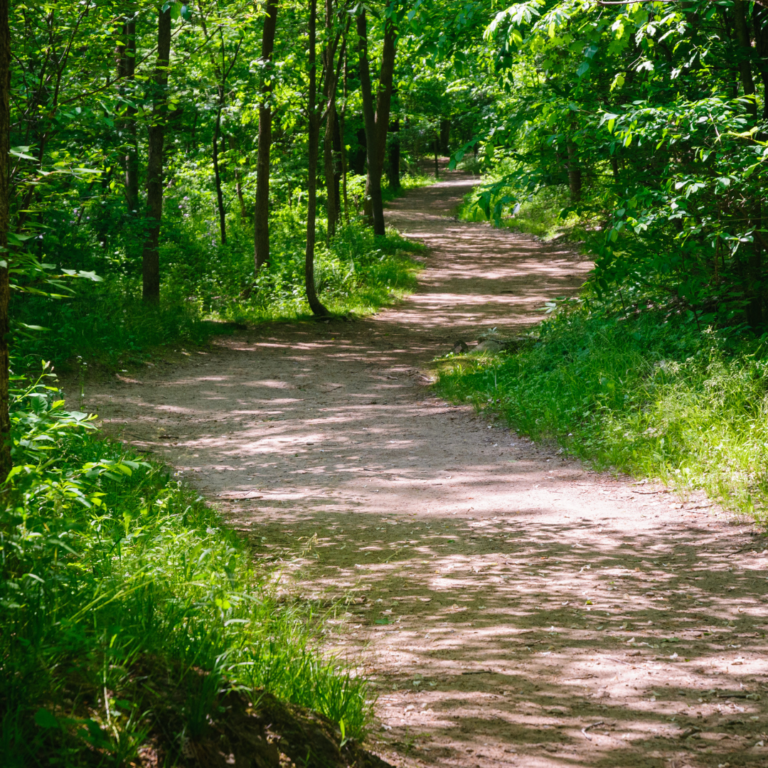 Discovering Nature’s Secrets: A Last-Minute Trip to Cuyahoga Valley National Park, Ohio