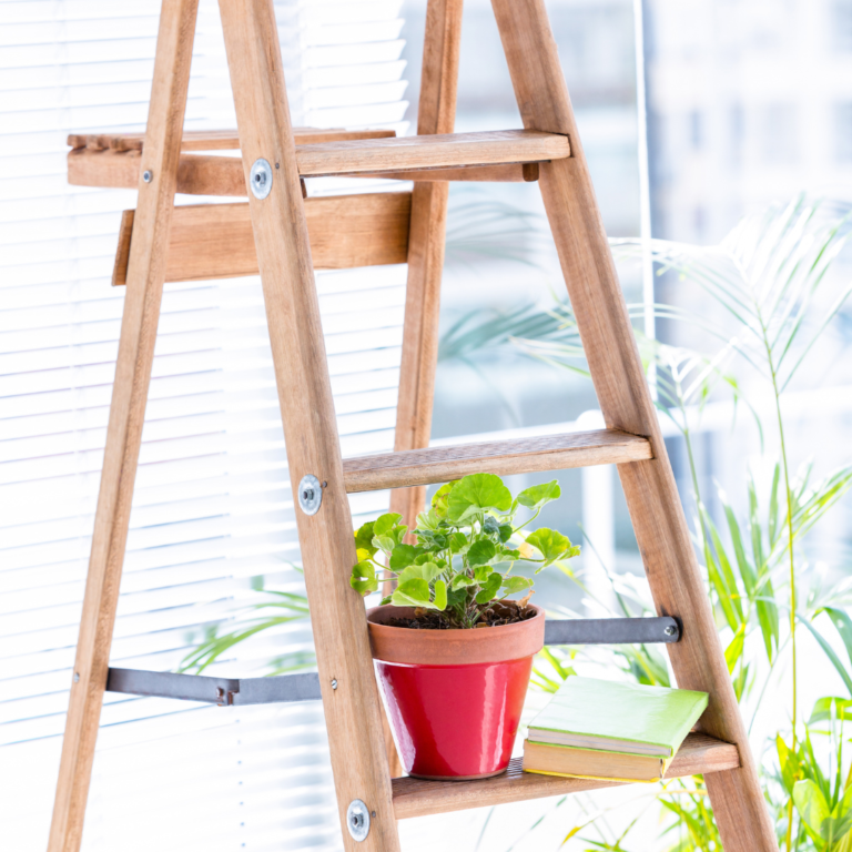 A ladder with a potted plant and a book on it illustrates ways to display houseplants without using plant stand.